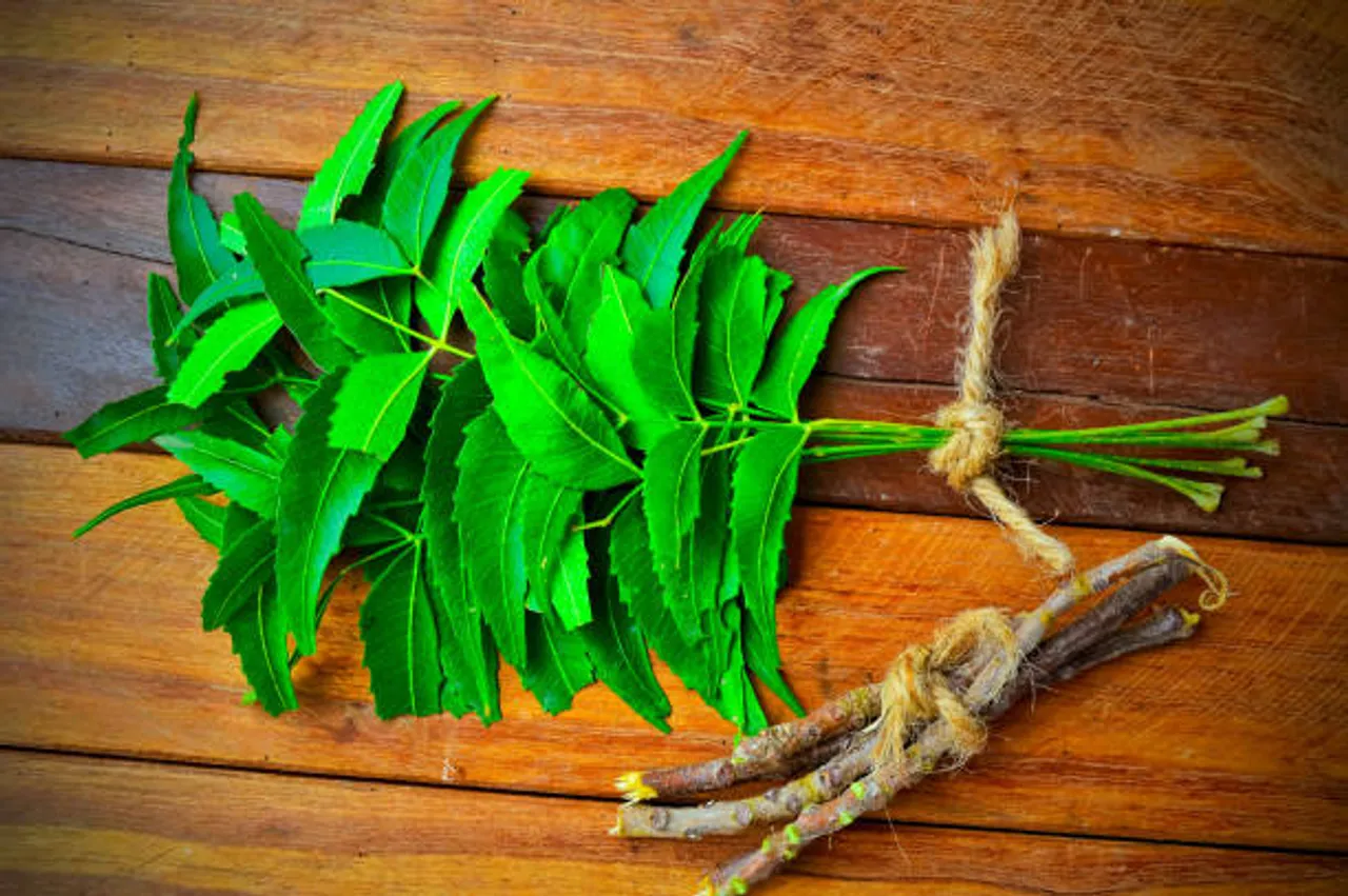 neem