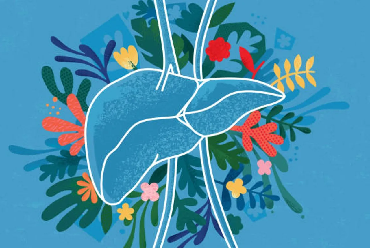 liver