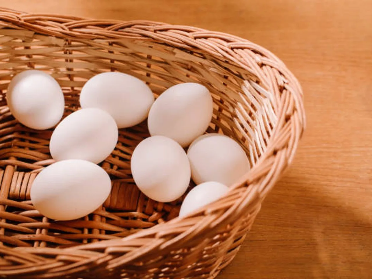egg
