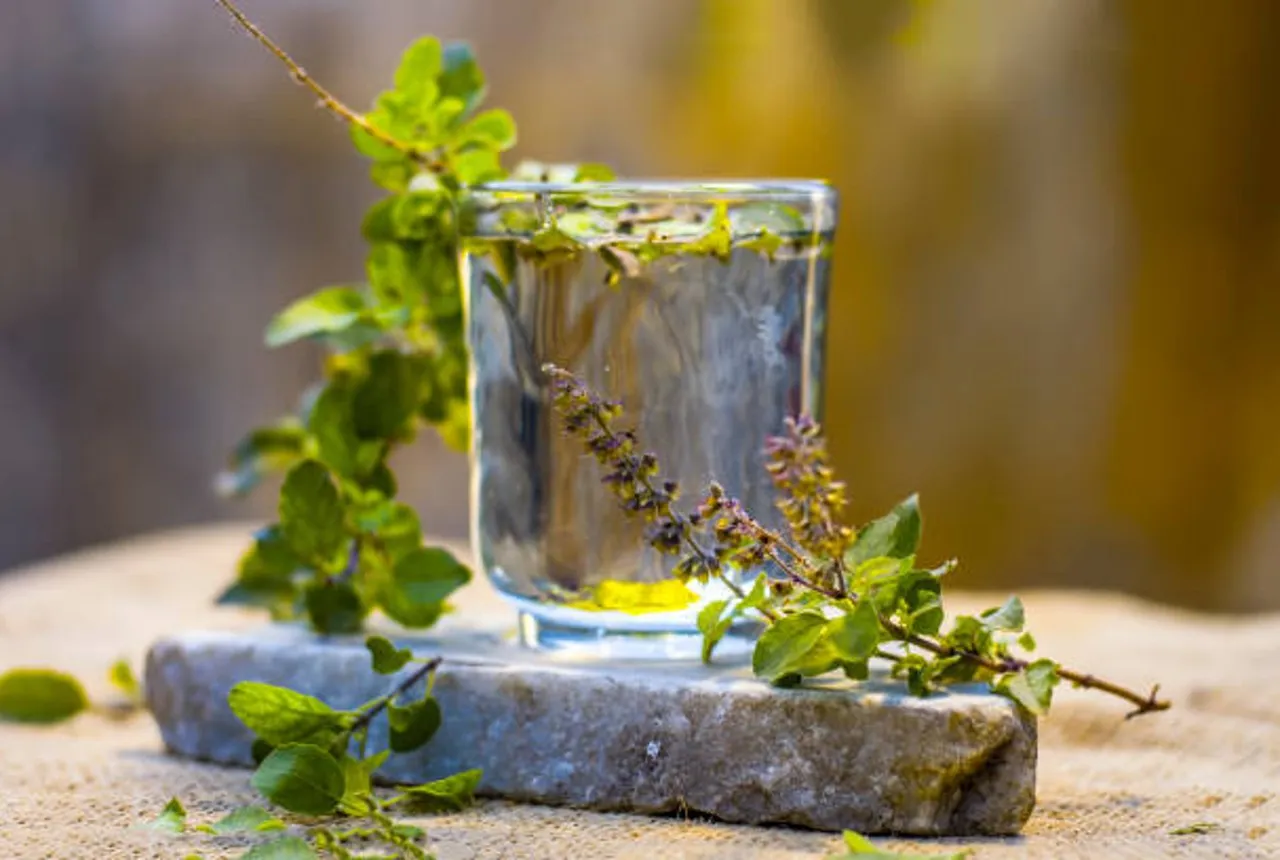 tulsi water