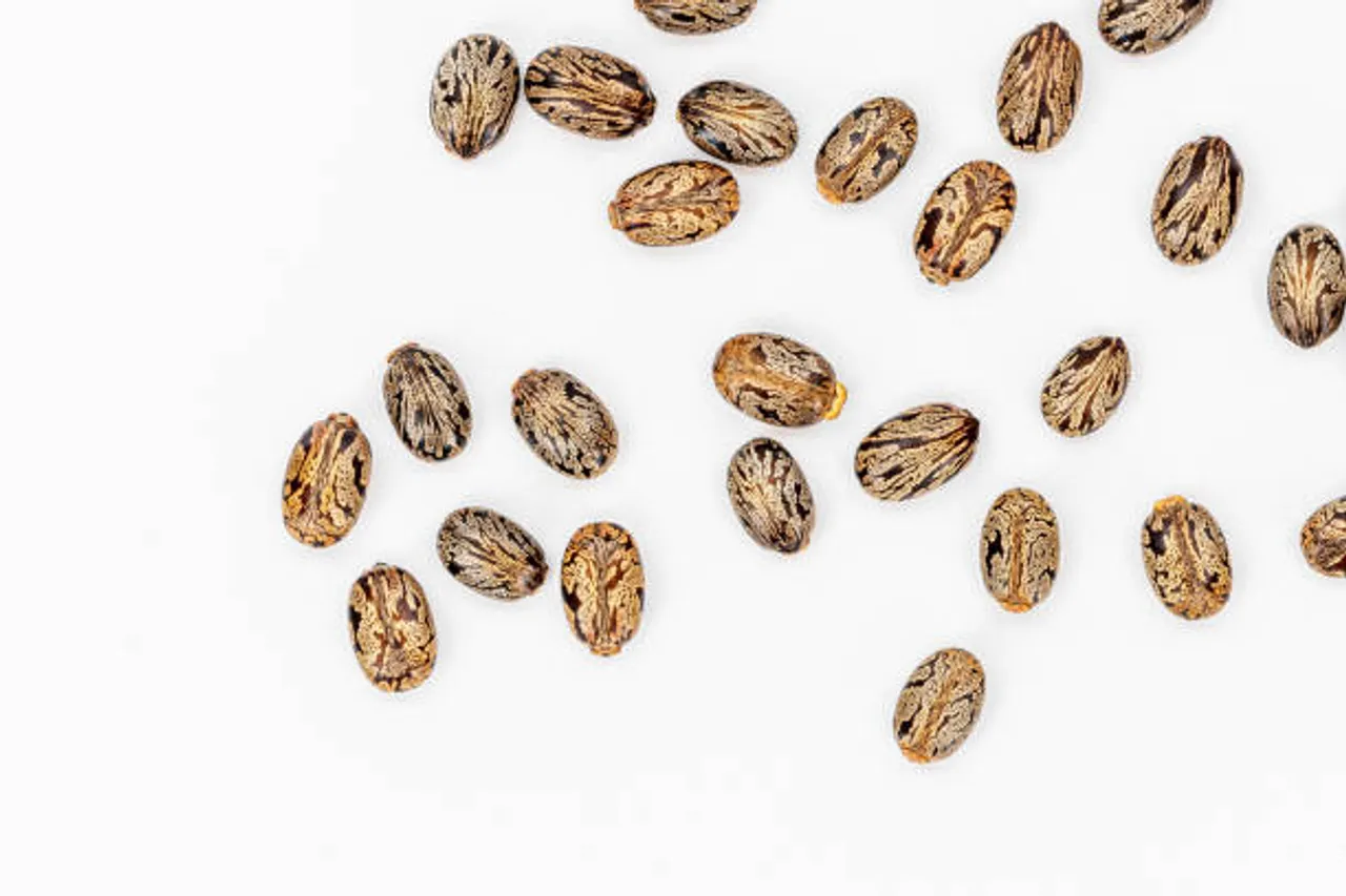castor oil 