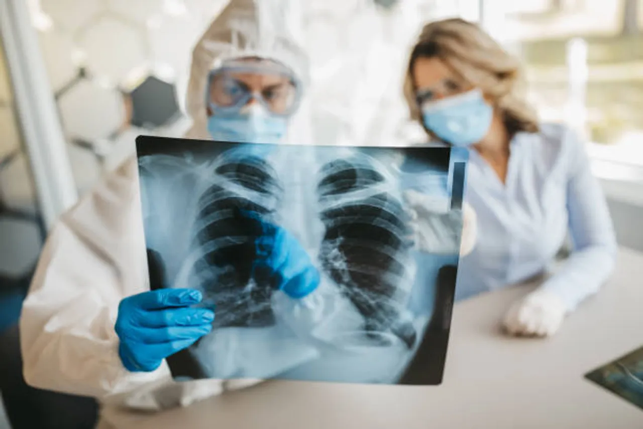 lungs