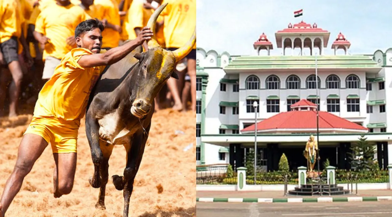 Madurai High Court order on Caste name announcing during jallikattu competition Tamil News 