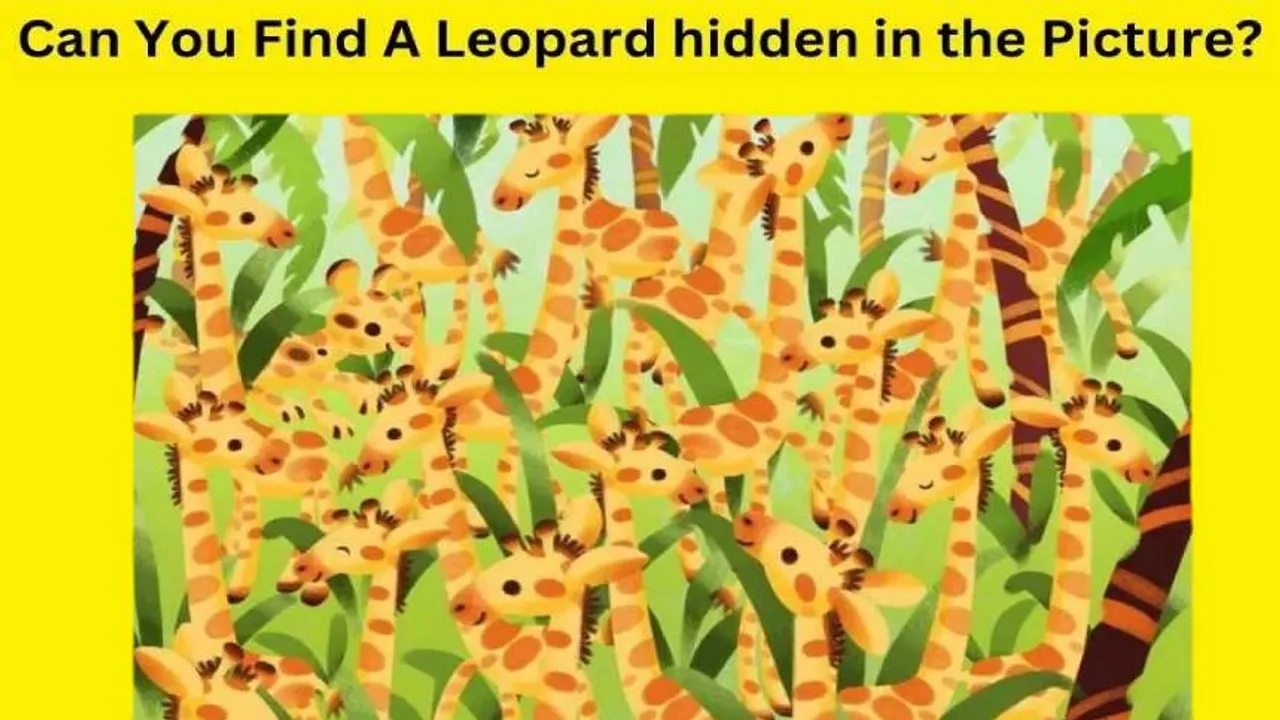 Leopard hid 