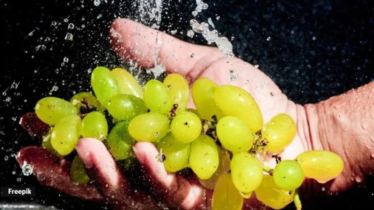 How to wash and store grapes