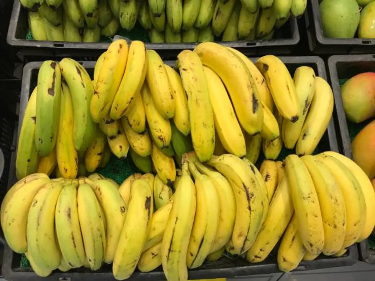banana