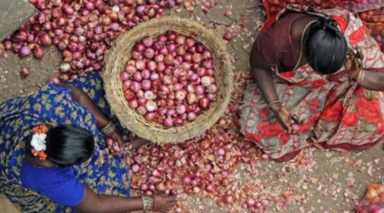 Onion expo.jpg