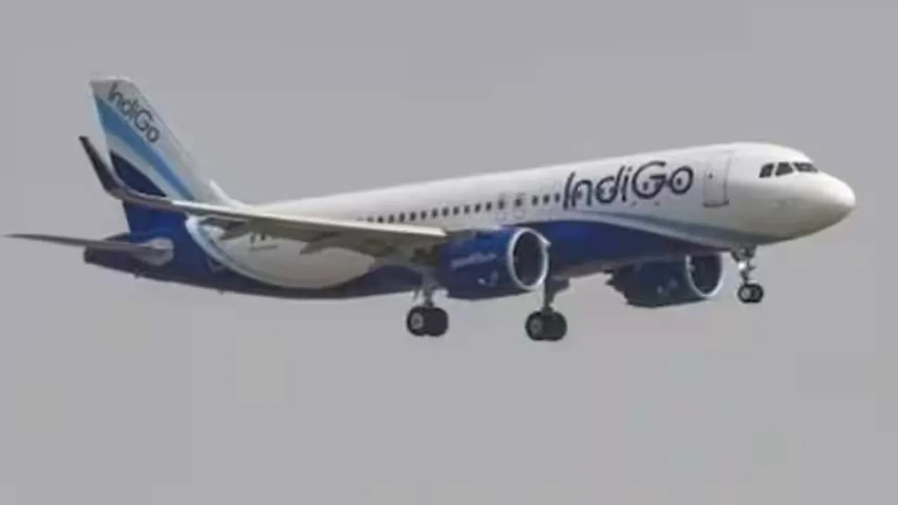 Indigo Flight