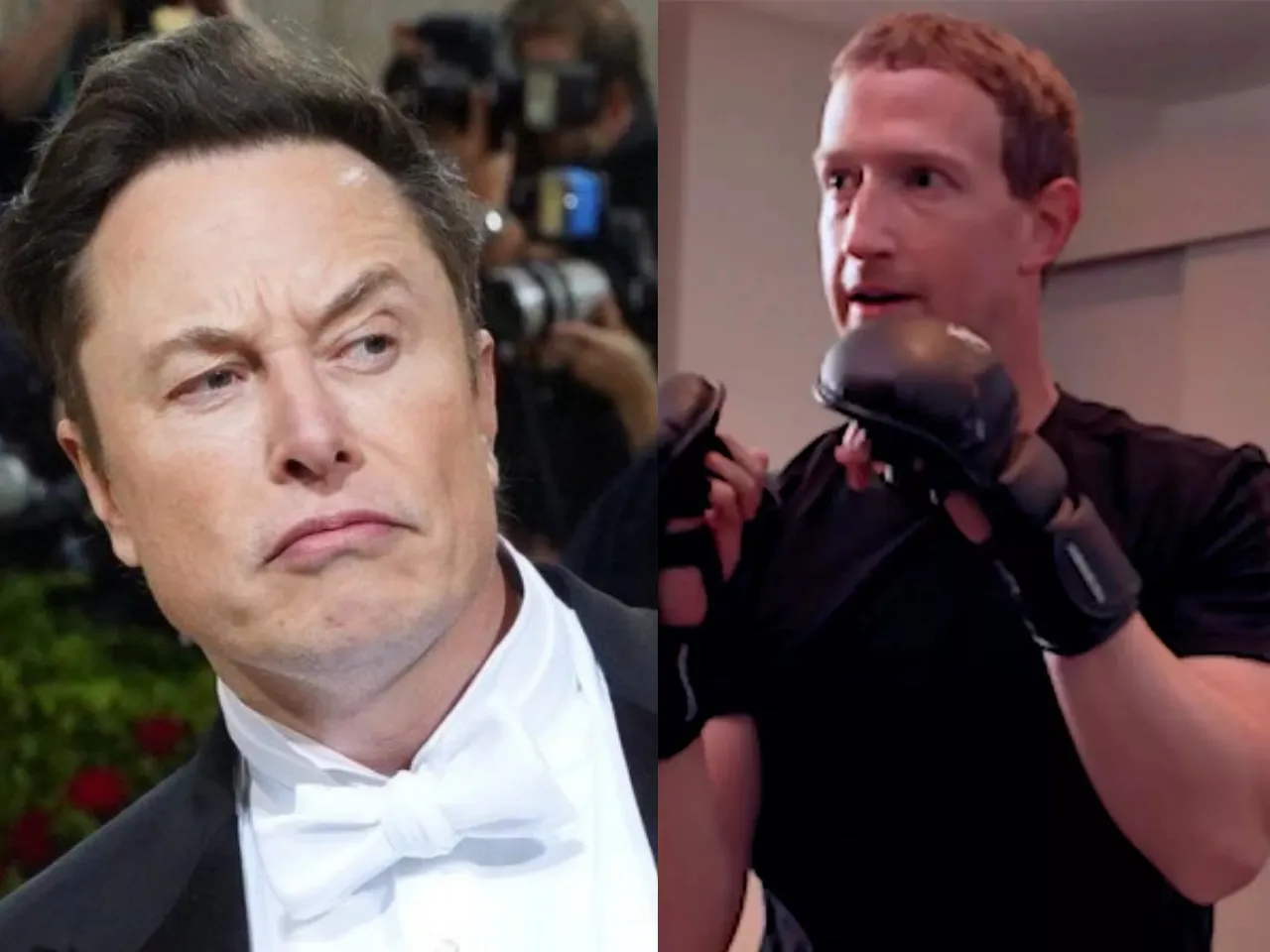Elon Musk and Mark Zuckerbberg