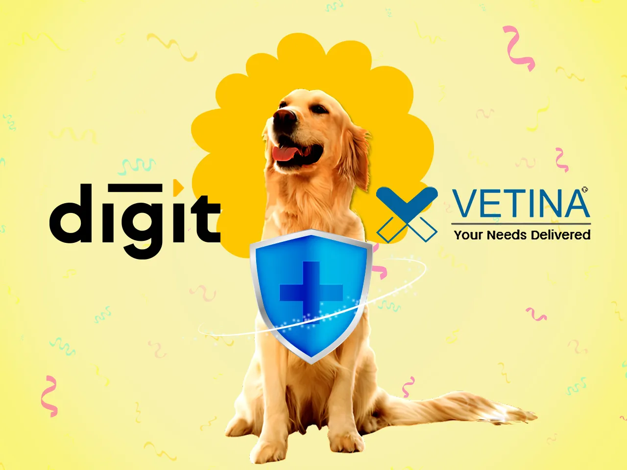 Insurtech startup Digit Insurance partners with Vetina Healthcare to offer comprehensive pet insurance plan