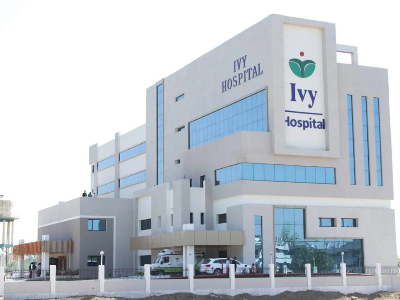 ivy health