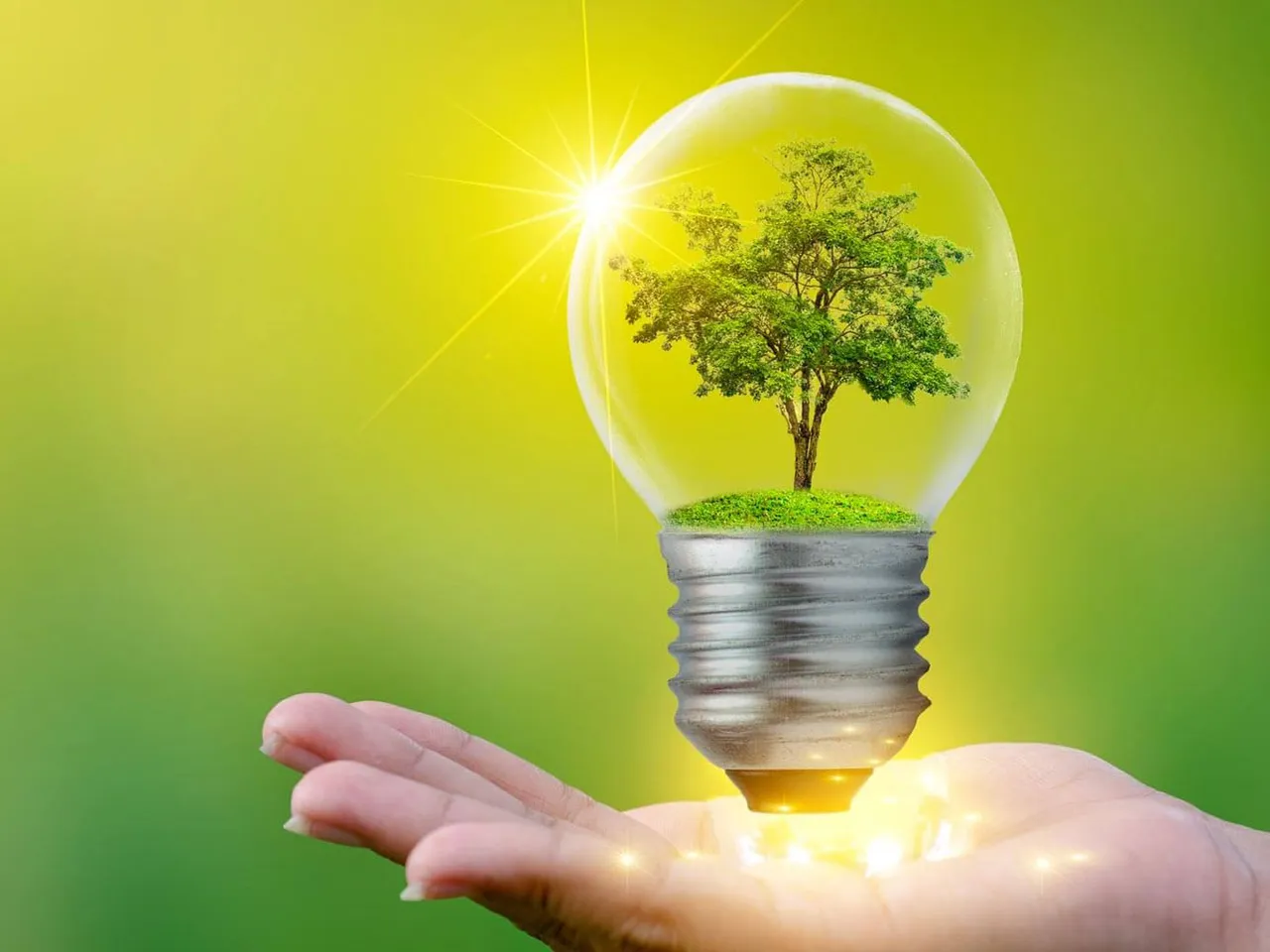 Top Cleantech Startups that are making India's future sustainable