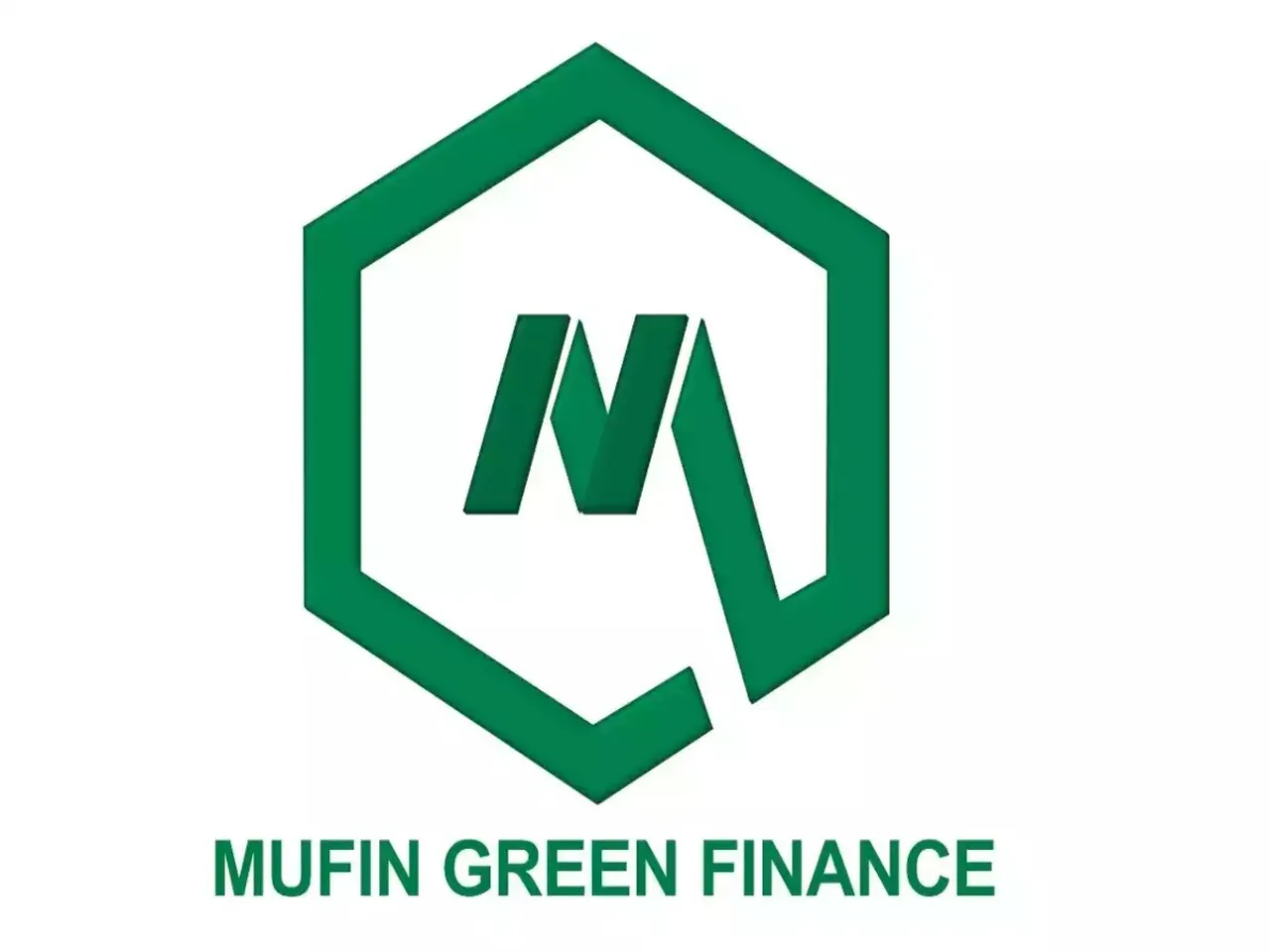 EV financing startup Mufin Green Finance raises $7M in green bond