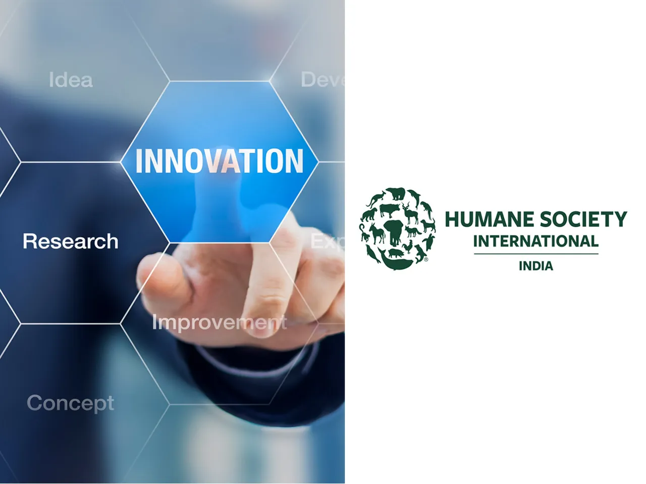 HSI launches third edition of its startup incubator to help animal welfare and environmental-focused early-stage startups