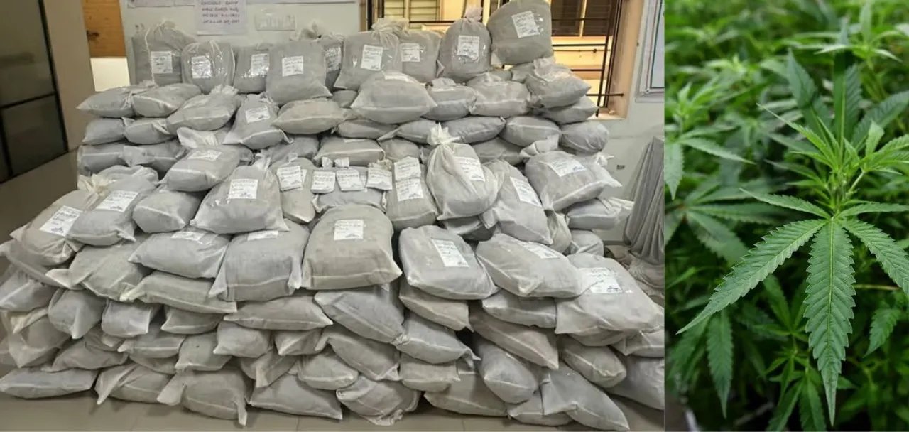 ganja bangalore