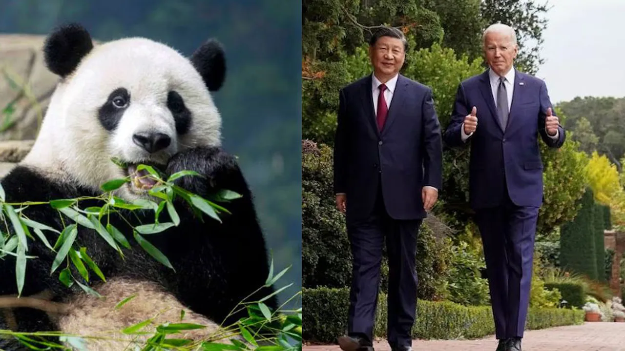 panda diplomacy