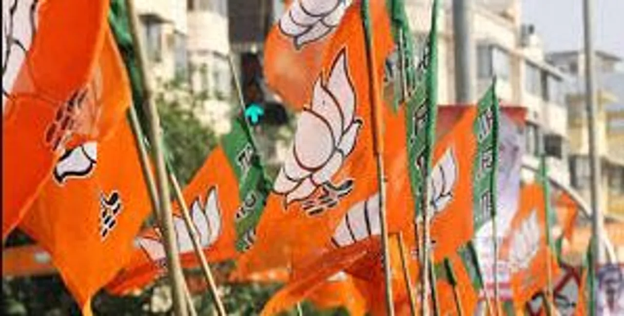 bjp flag