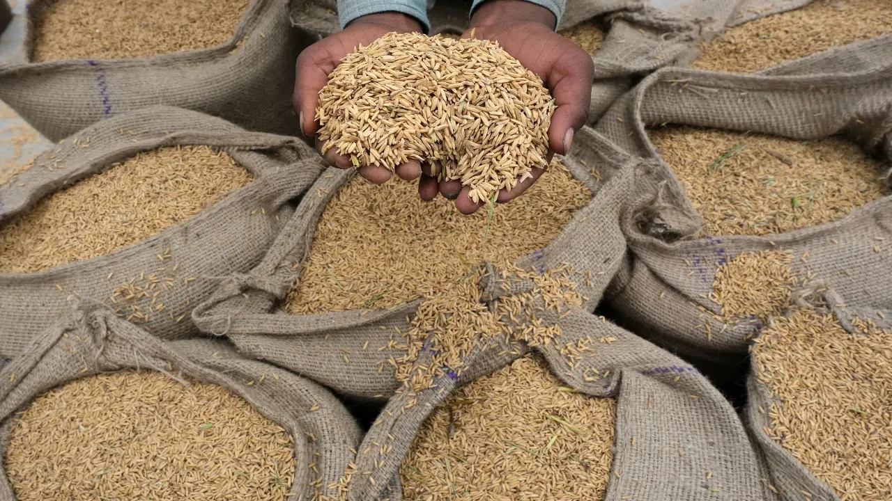 History of pokkali rice