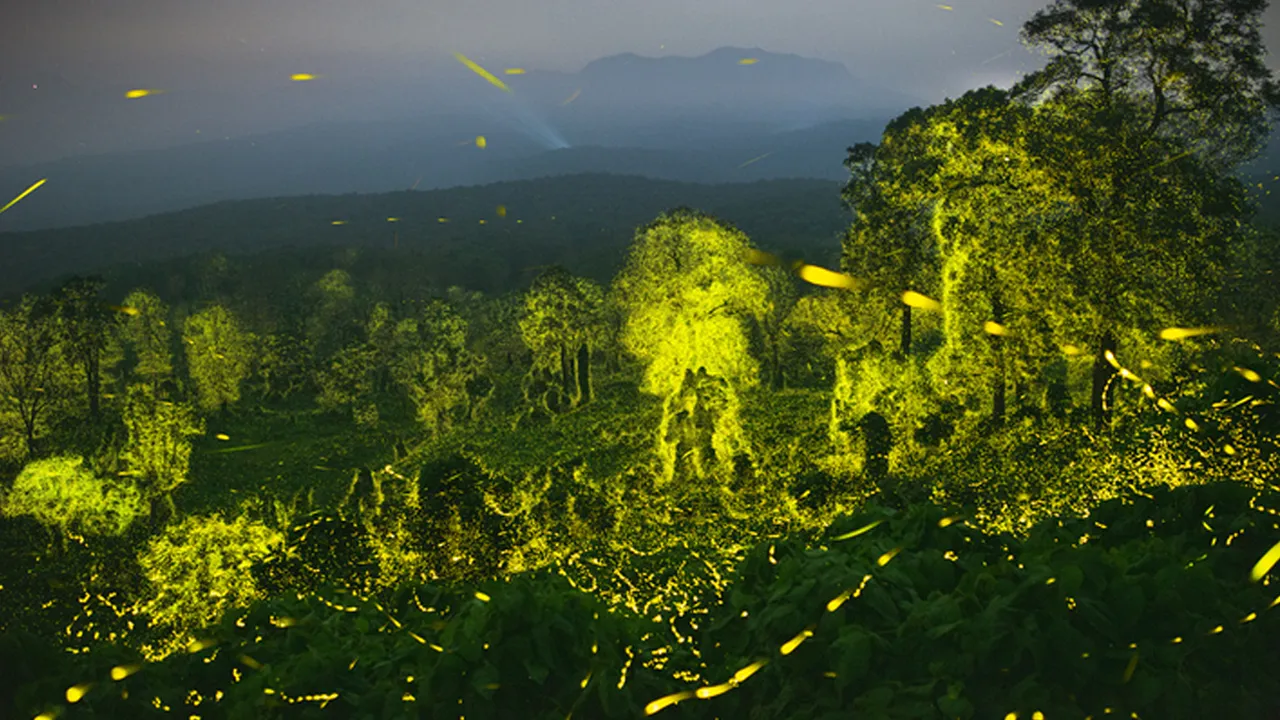 Sriram Murali wild life photographer of the year