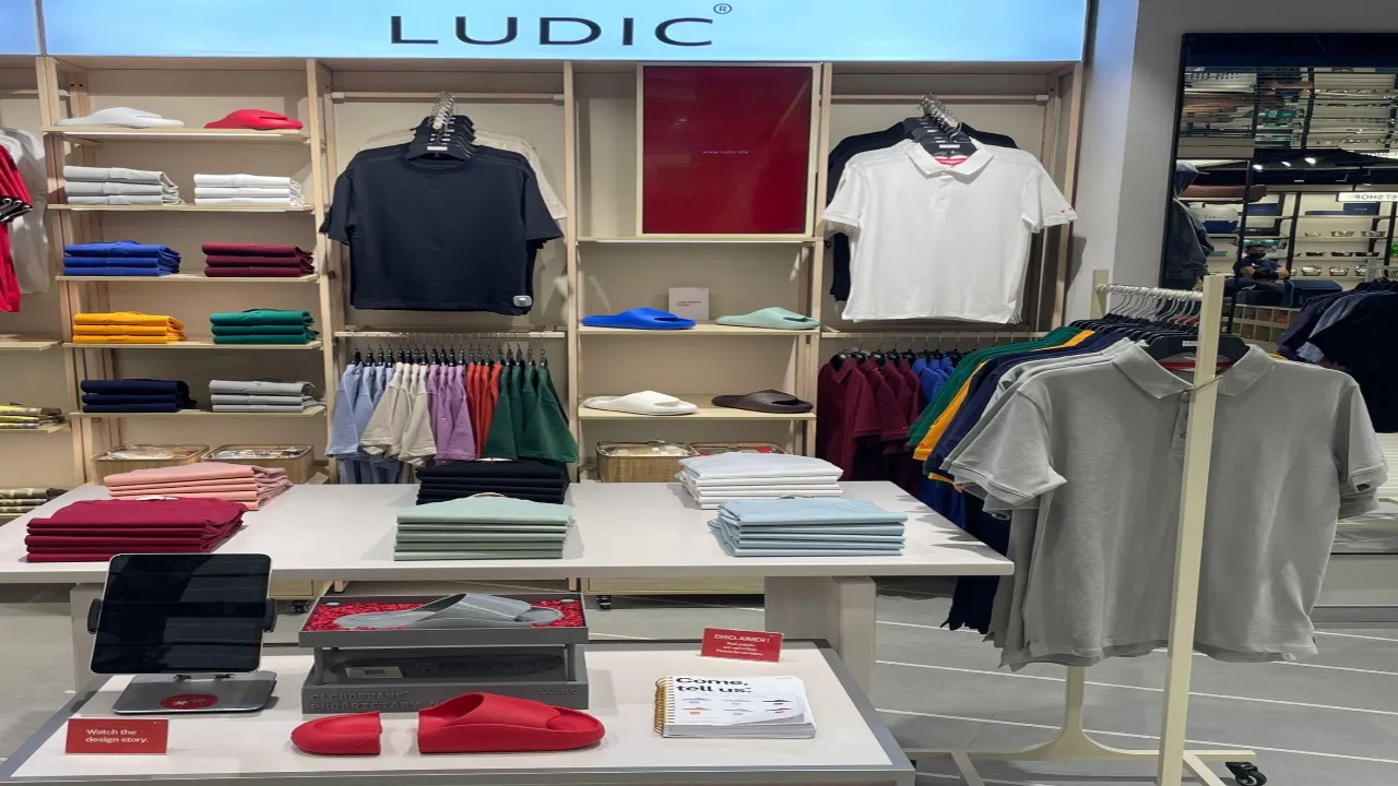 Ludic