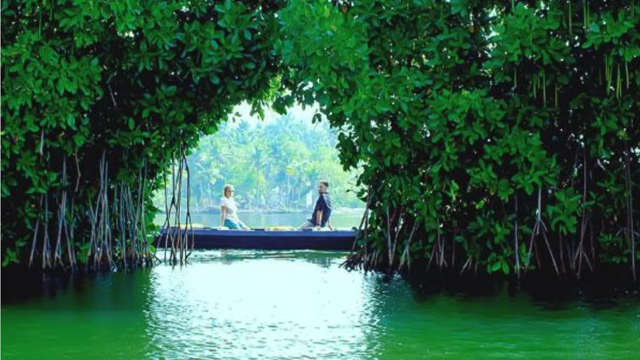 budget friendly travel destinations in india for honeymoon