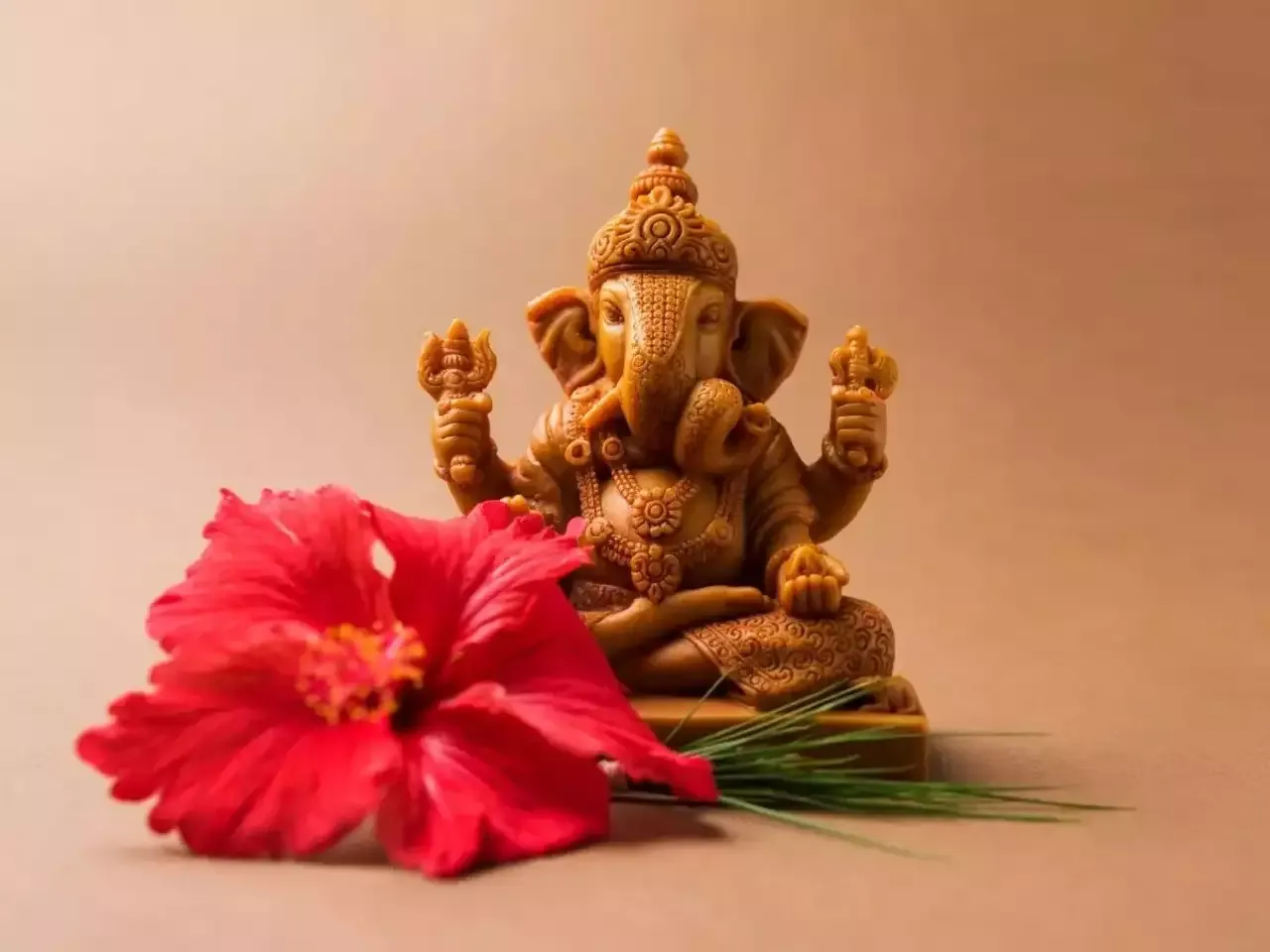 eco friendly ganesha