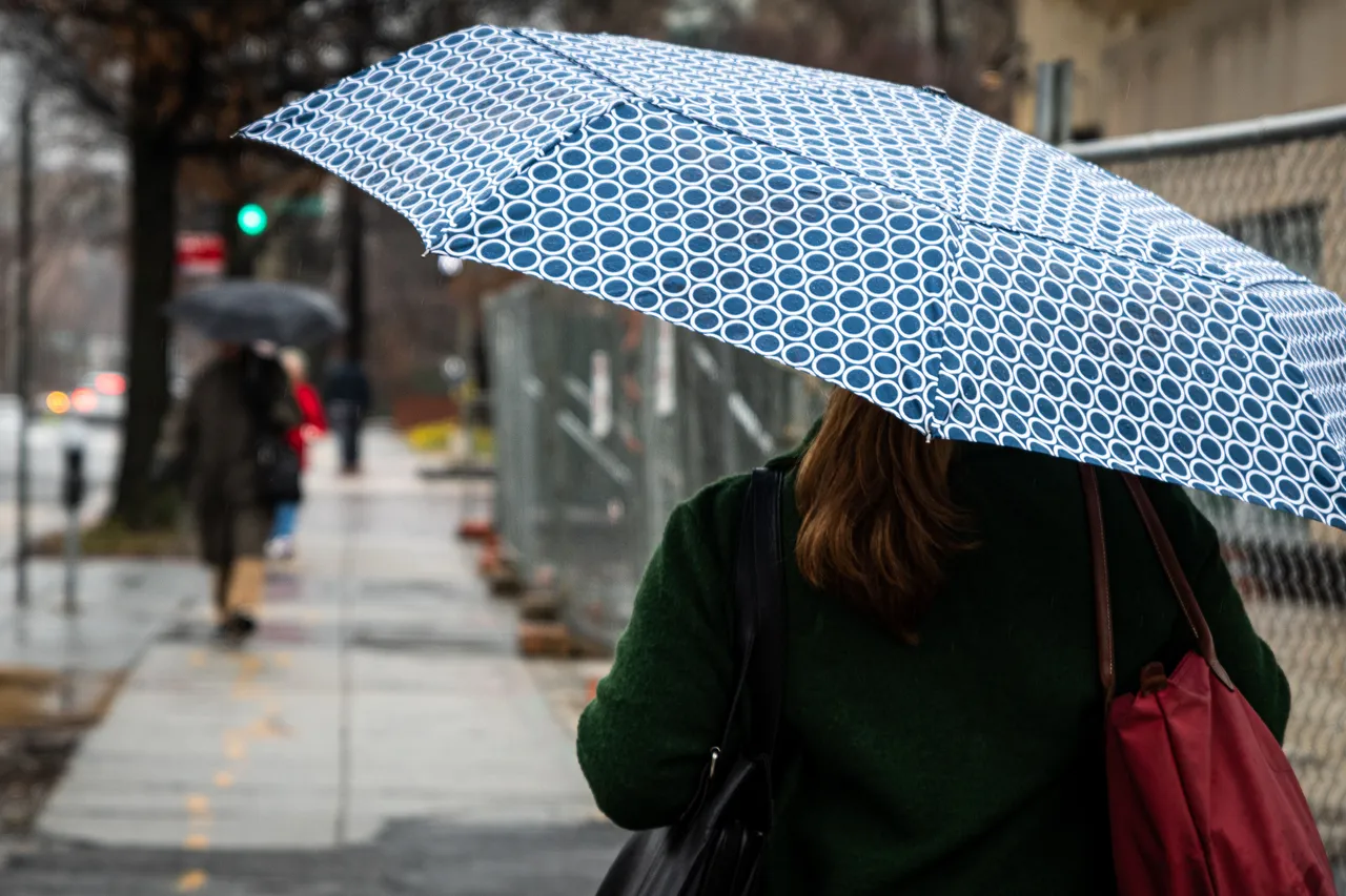 #MonsoonShopping: Buy Umbrellas online and walk-in style!