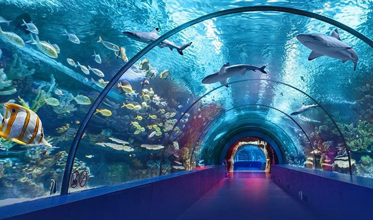 Explore the underwater life with these mustvisit aquariums in India