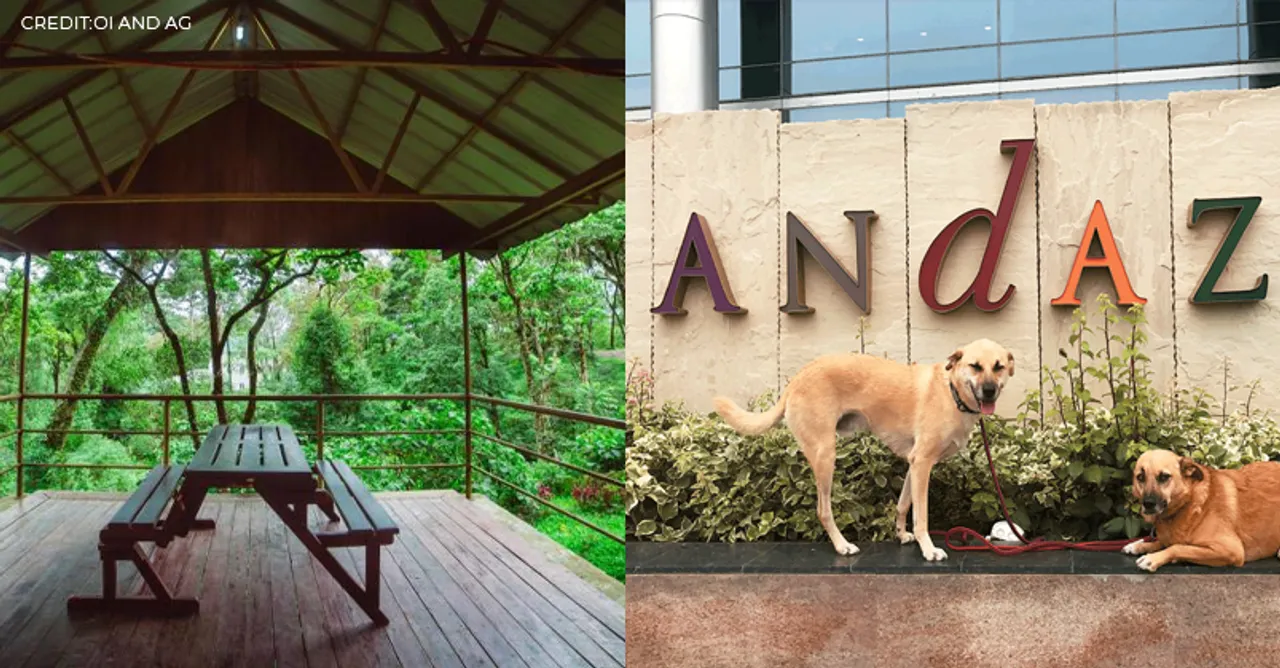 These pawcation retreats in India ensure a pleasant stay for you and your pets!