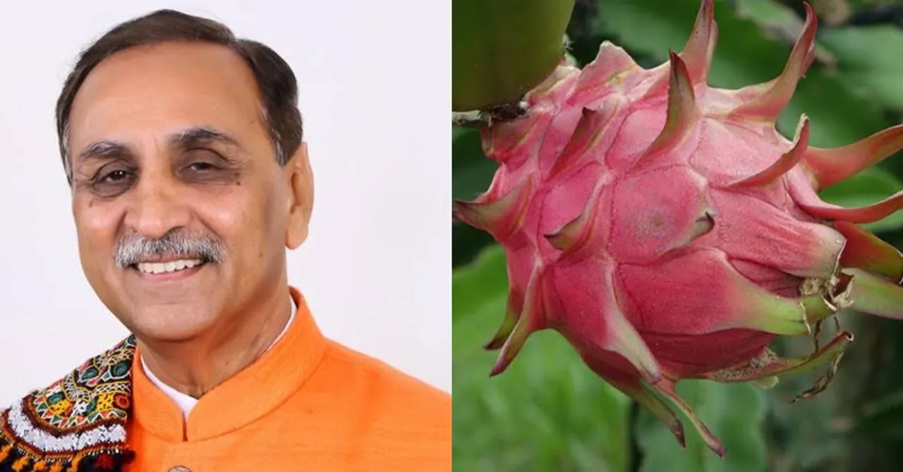 Dragon fruit renamed as 'Kamalam' by Gujarat CM; a flood of comments takes all over social media!