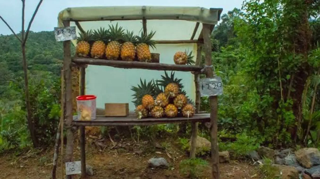 This Mizoram shop without a shopkeeper is teaching us a lesson in trust