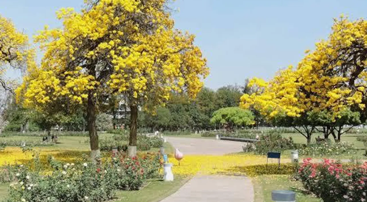 Chandigarh vali winters- Things to look out for!