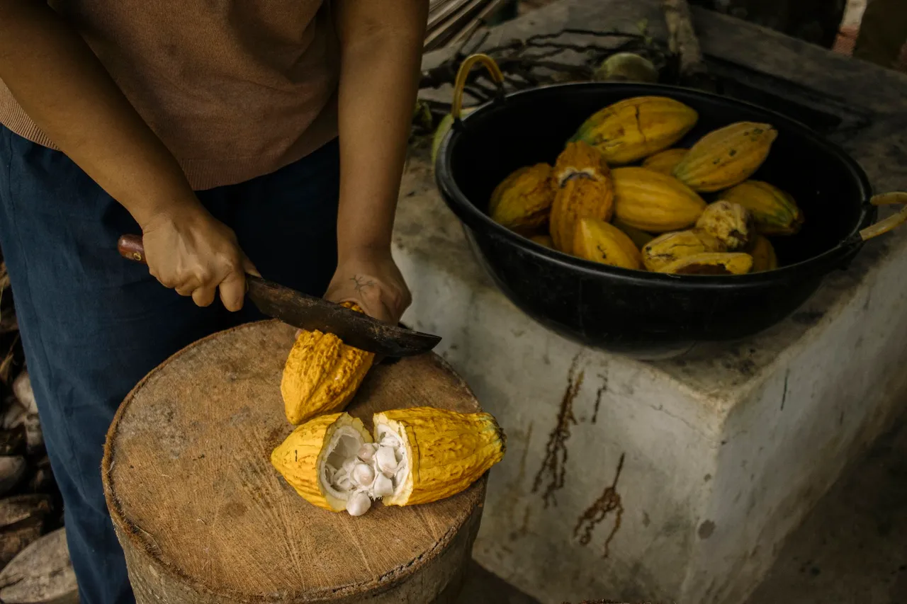 Indian Cacao And Craft Chocolate Festival - After a successful launch in Bangalore last year, The Indian Cacao And Craft Chocolate Festival will be taking place in Mumbai on the 18th and 19th of February.