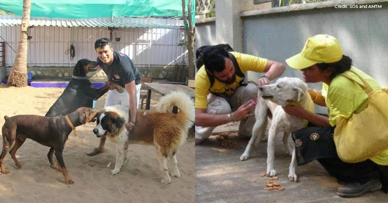 Hope for animals: Check out these animal shelter homes in Mumbai!