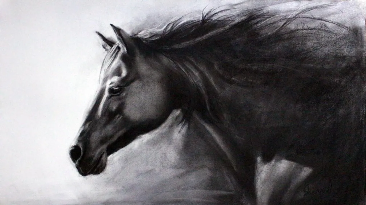 Make some noise for these talented Charcoal Artists you must follow on Instagram!