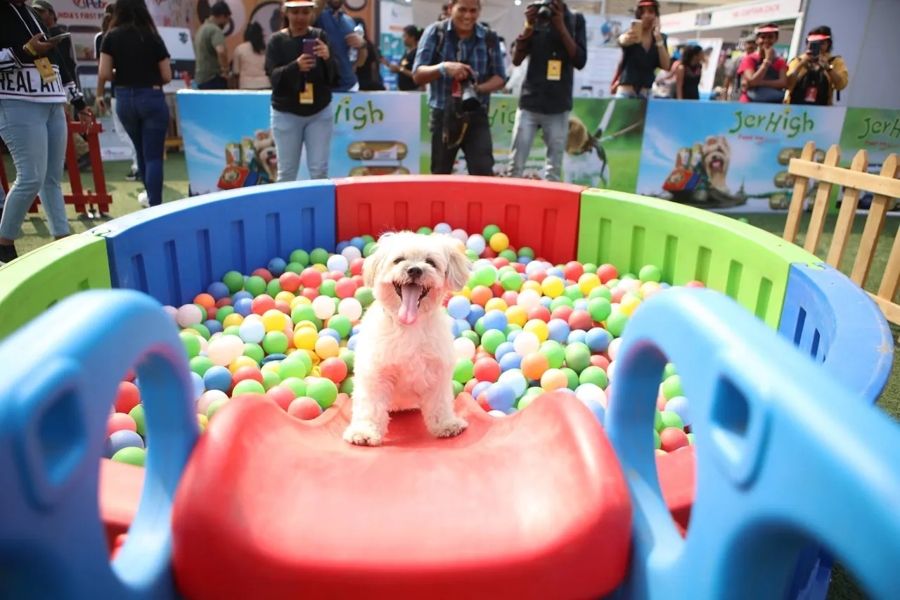 India’s Biggest Pet Festival 'Pet Fed' is back after 3 years in Mumbai