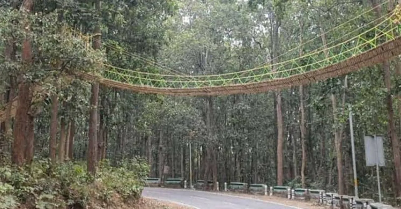 First eco-bridge in Uttarakhand is ready to save replites and small animals!