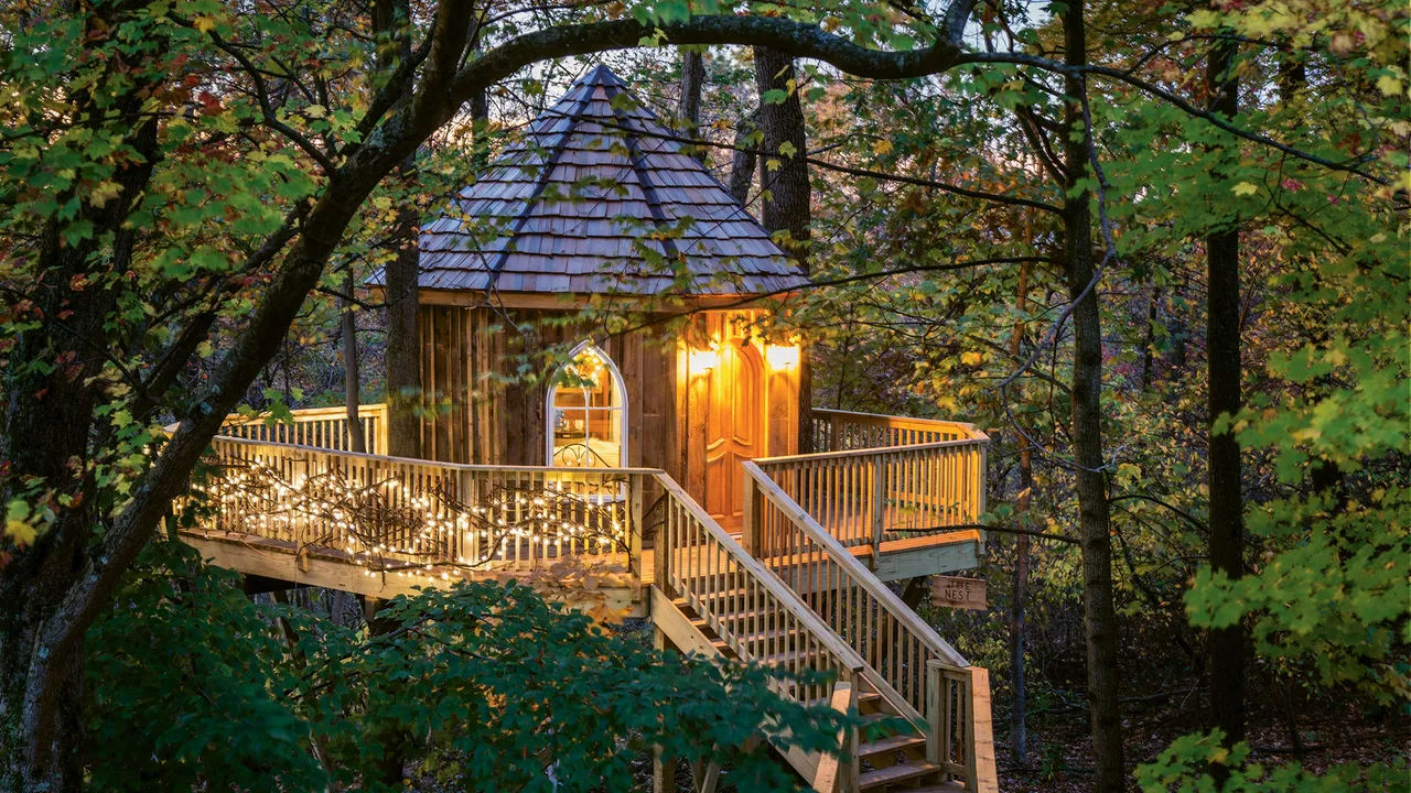 Escape to these tree house resorts nestled in nature!
