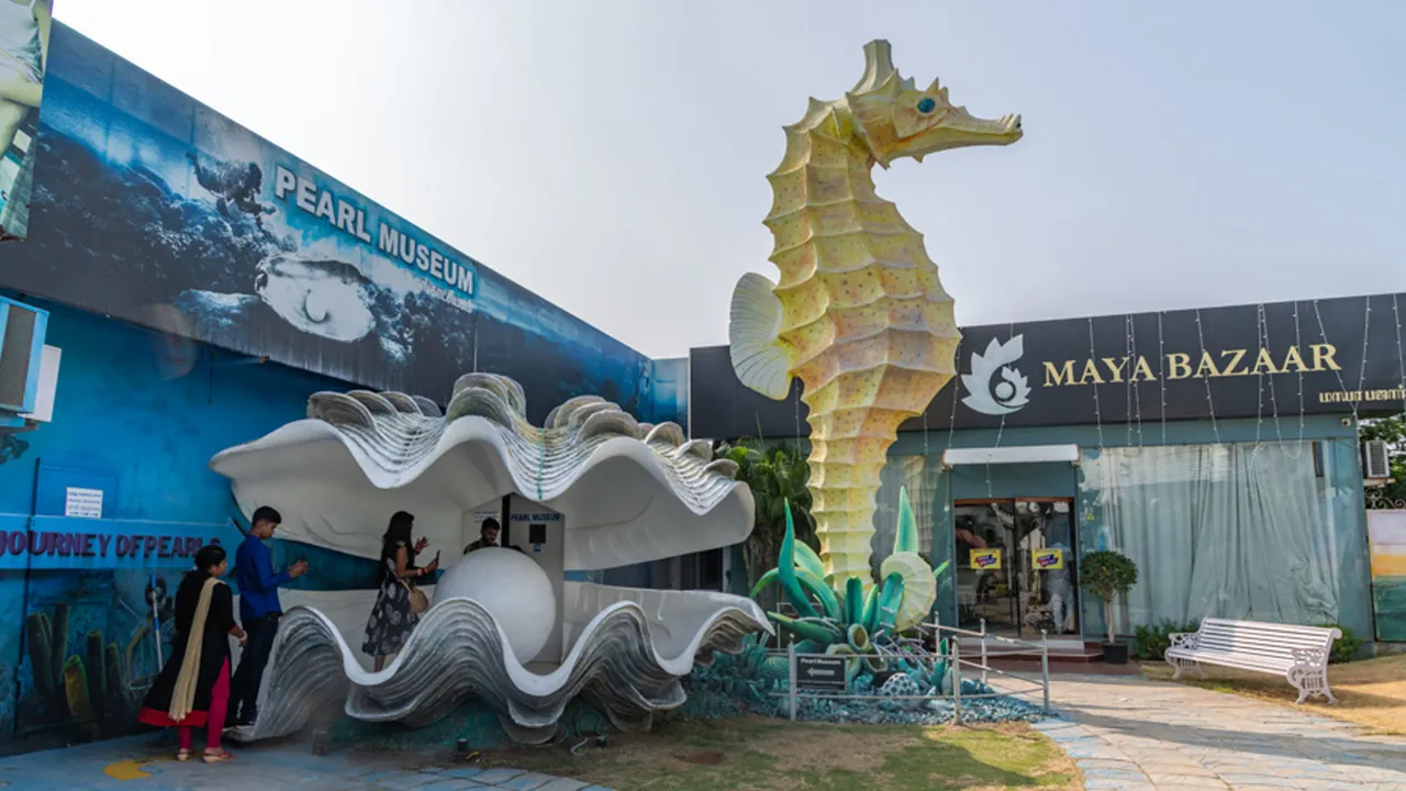India seashell museum in Tamil Nadu is Shell-ebrating marine life diversity!