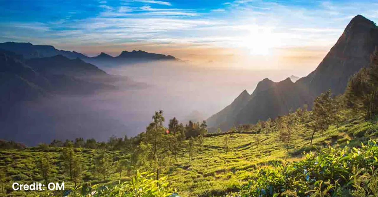 Here's what a visit to the highest tea estate in the world - Kolukkumalai tea estate looks like!