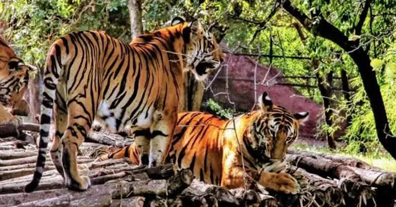 Nehru Zoological park of Hyderabad receives ISO certificate from the UK