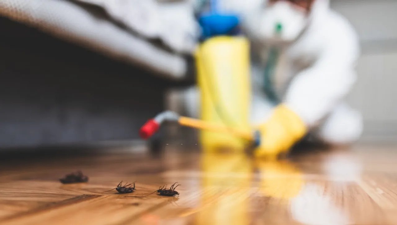 Pest Control Services in Jaipur to save your space from bugs and pests!