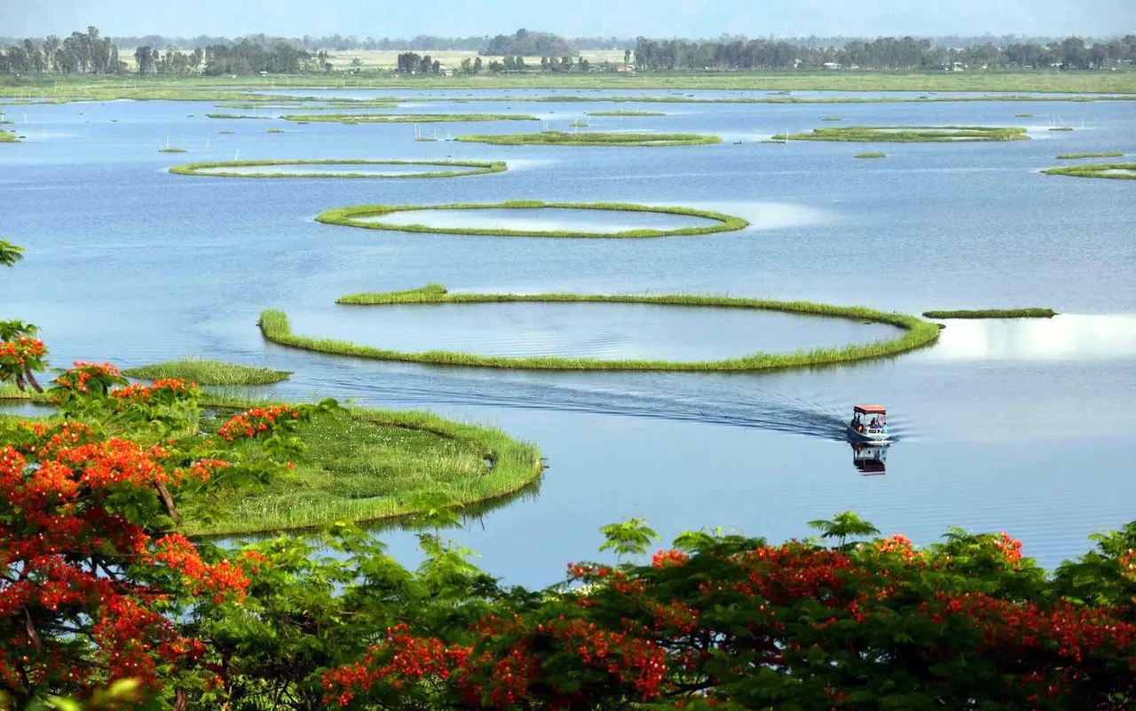 The floating National Park in Manipur is the only one in the whole wide world!