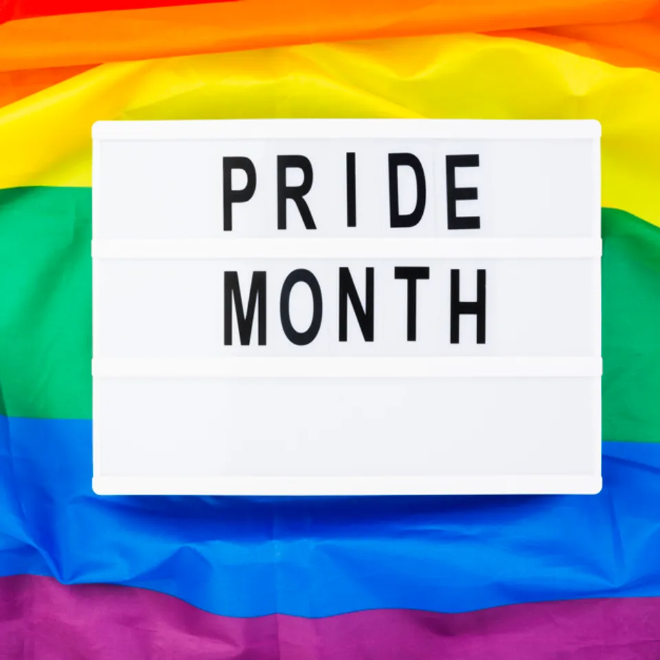 Pride Merch Online! Hoard pride-al goodies to celebrate the month of LGBTQ Inclusivity!