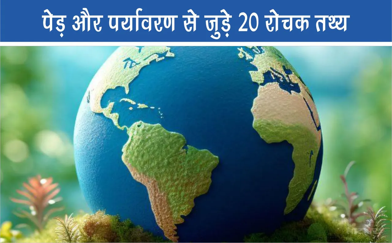 20 interesting facts related to trees and environment