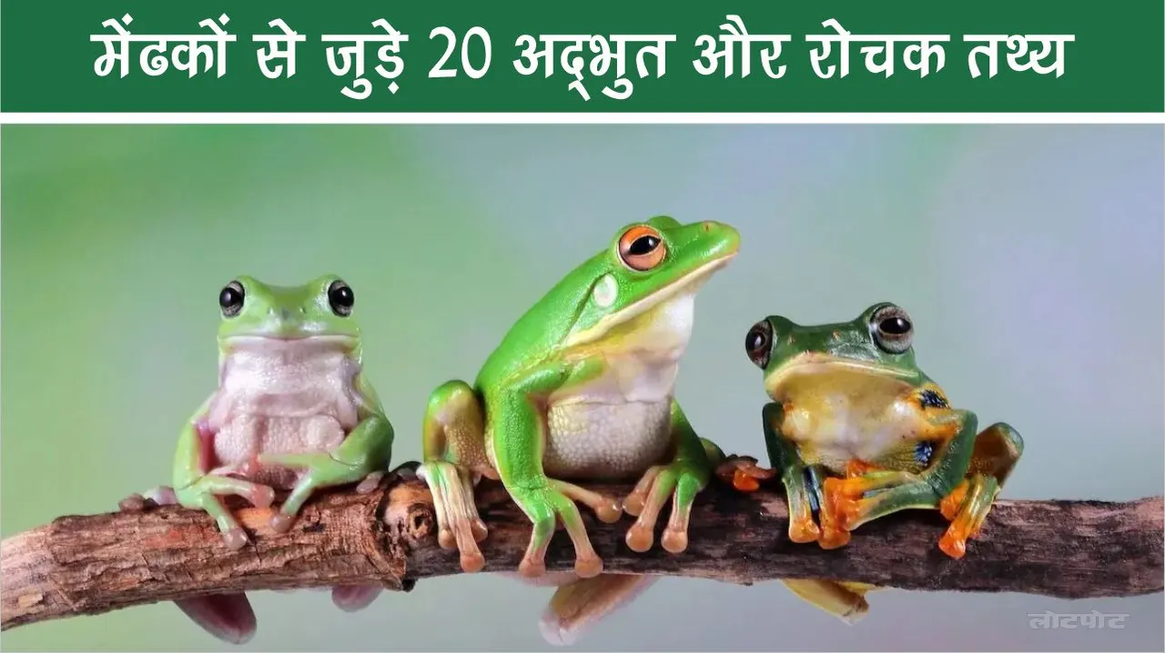 20 amazing and interest