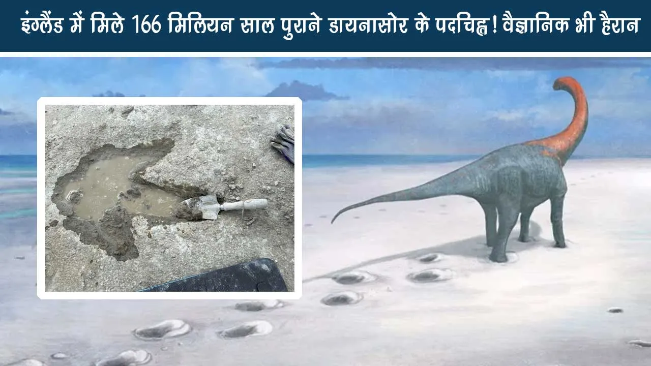 166 million year old dinosaurs found in England Scientist also surprised