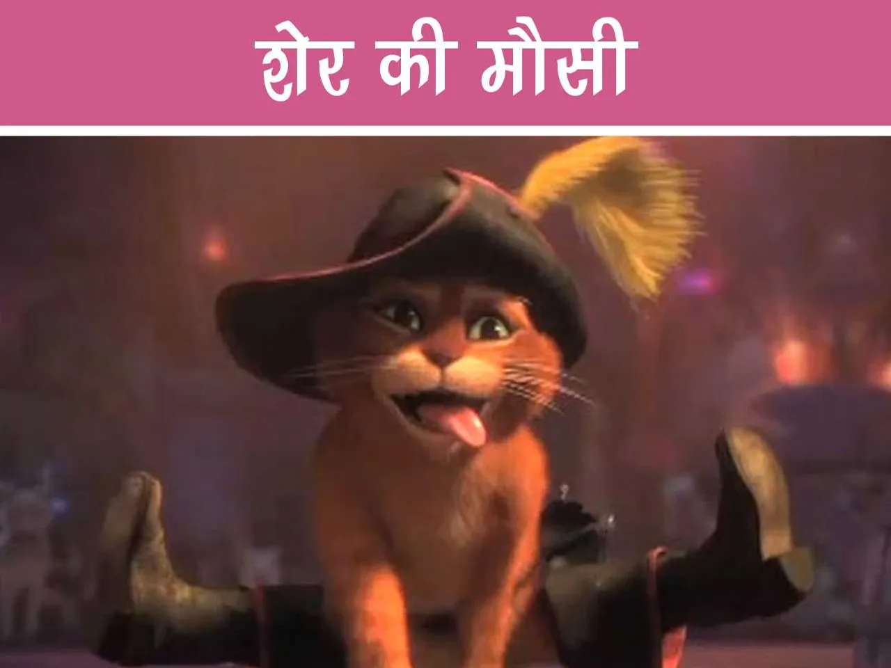 Cat Cartoon Image