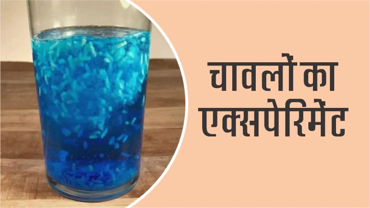 Science Craft: Experiment of Dancing Chawls