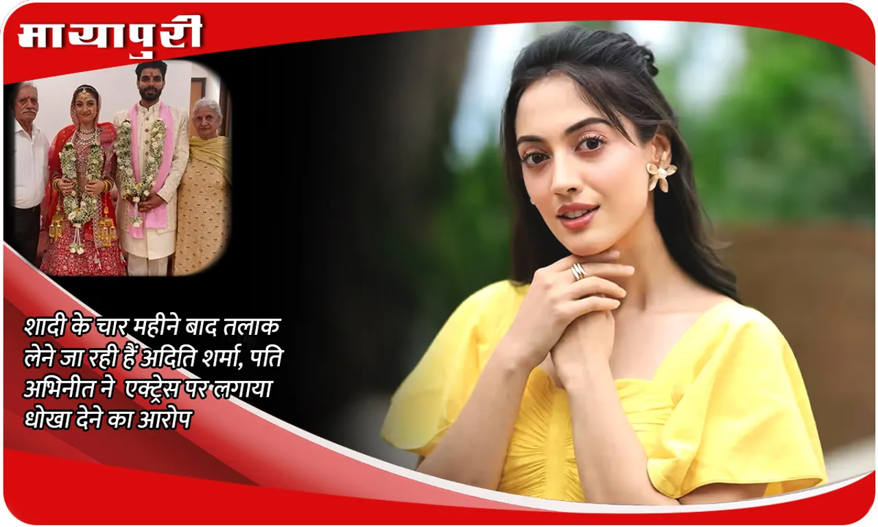 Aditi Sharma Divorce